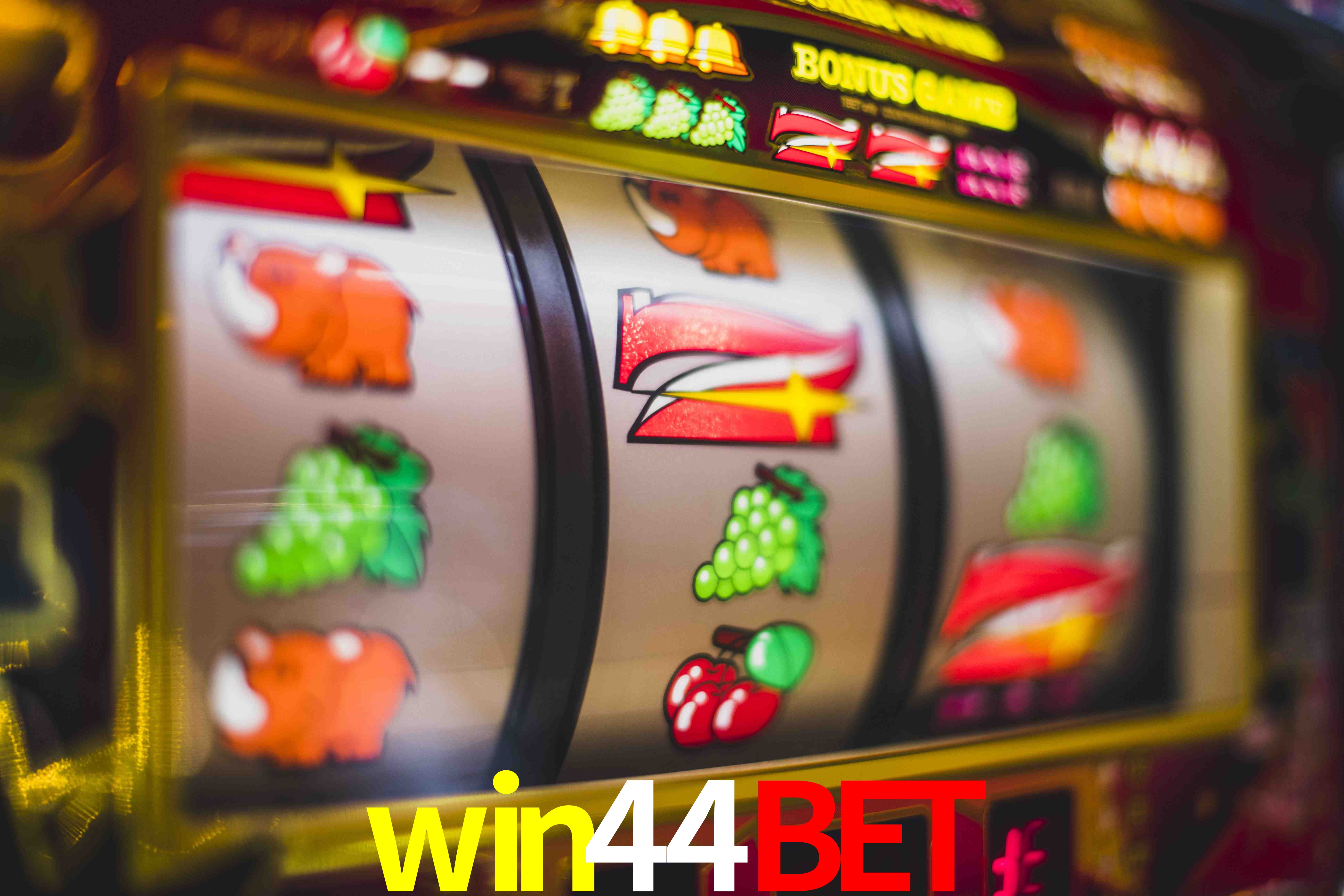 Crash Games Statistics win44bet